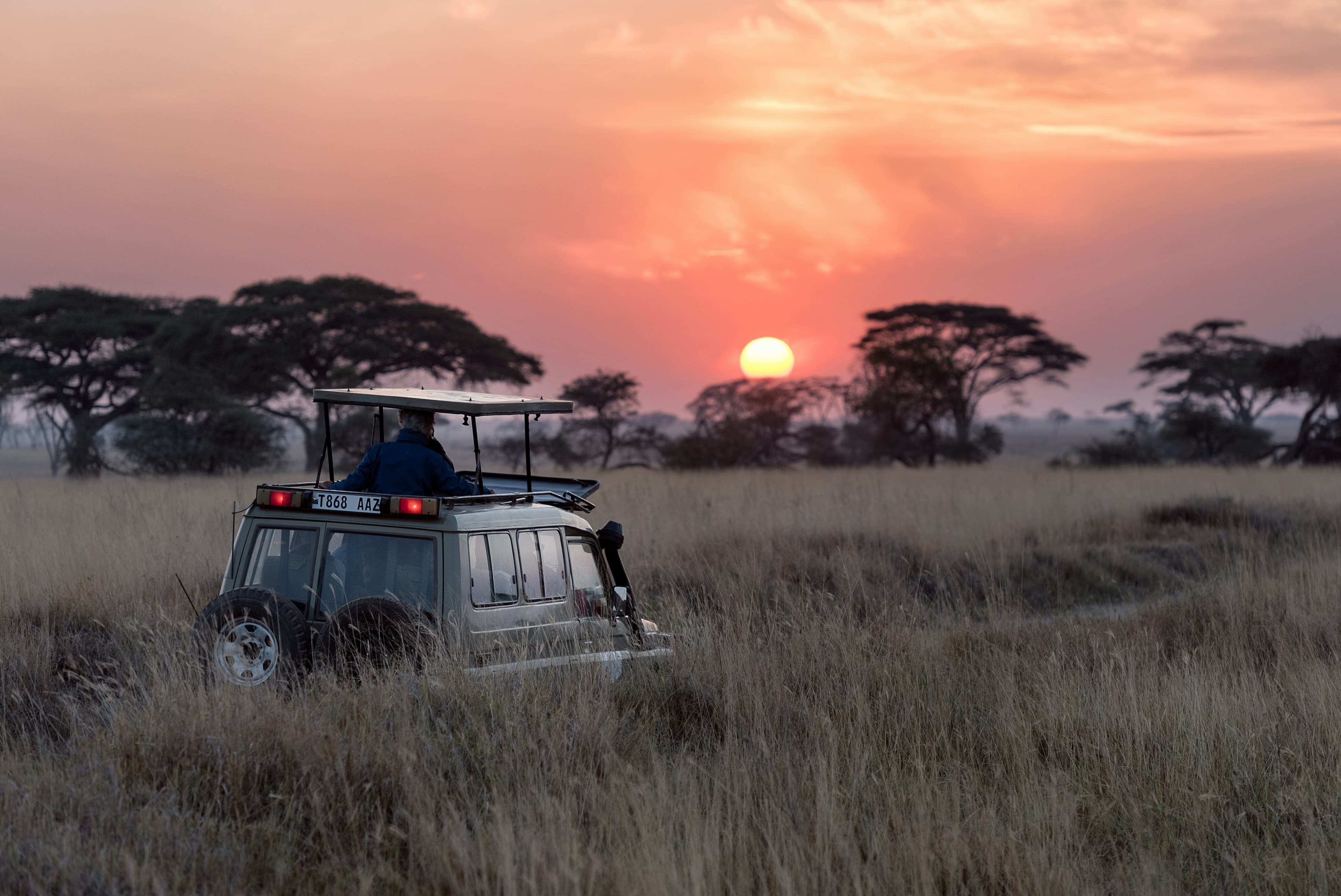 Maasai Mara Safari Adventure - 4 Days